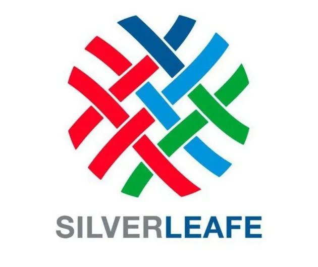 Meeting with Silverleaf team